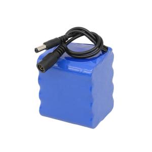 Wholesale 12Ah 24V Lithium Ion Battery , Lithium Ion 18650 Battery Pack With Charger from china suppliers