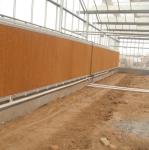 Agricultural Super Strong Resistance Vegetable Fruits Flowers Polycarbonate