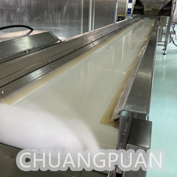 Customized Coconut Water Making Machine - 18C Production Store Type Coconut Water Processing