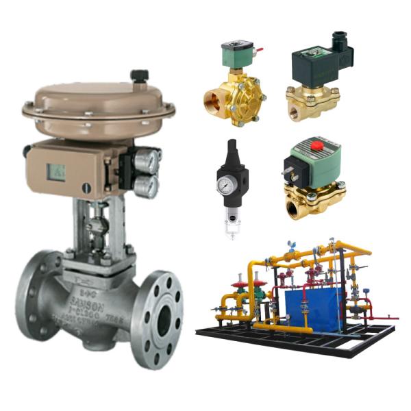 Samson 3241 Globe Control Valve of the ANSI 300 Pressure Class Rating and