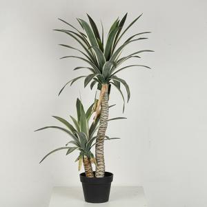 Wholesale High Fidelity Artificial Dracaena Tree With White Side from china suppliers