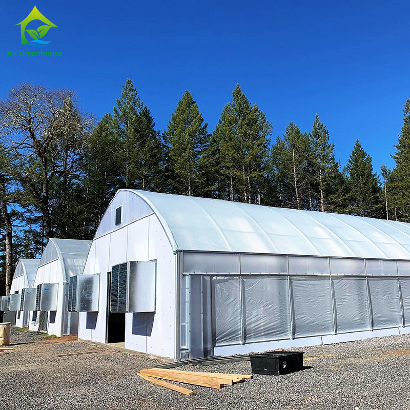 Light Deprivation Greenhouse Stable Structure for Commercial Farming