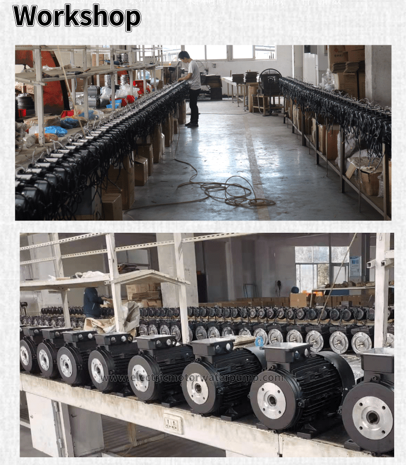 hollow shaft motor