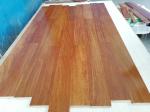 Exotic Cumaru (Brazilian Teak) Engineered Hardwood Flooring with natural glossy