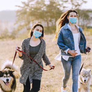 Wholesale 3 Plys Ear-Loop Anti Bacterial Medical Mask Of CE 14683 Standard Good Selling In Europe Market from china suppliers