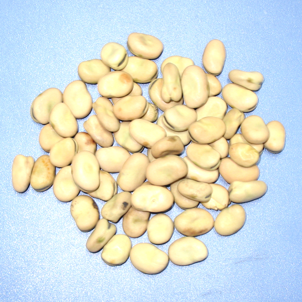 Wenyao Red Lentils Green Yellow Colored Peeled Split Lentils Lentils Sorting Machine Newest Model Multiple Sorting Color Sorter