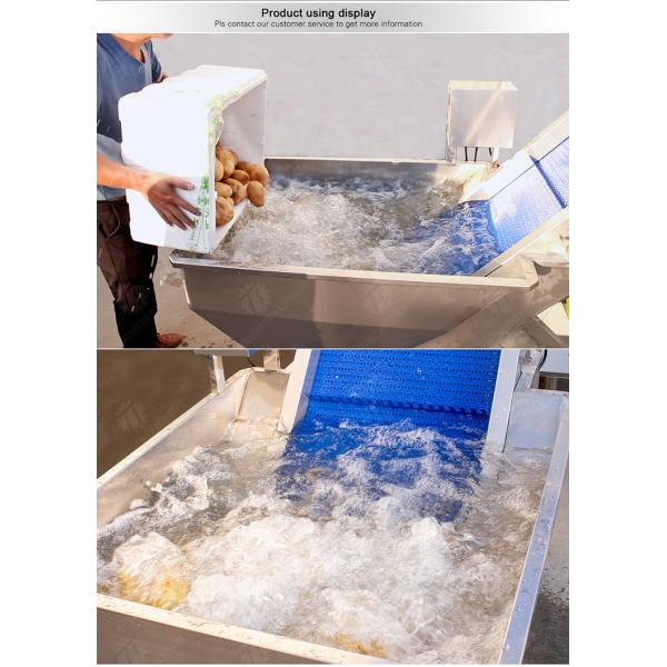 Pre-foaming elevator processing production Destoning Supplying Inspecting Grading Fruit Orange Vegetable Onions horseshoe Ginger Potato Carrot radish