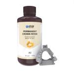 Radiopacity 200% Al Permanent Crown Resin for Durable and Aesthetic Prosthetics