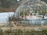 Big Festival Sunshade Dome Arcum Tent Vendor For 1000 People