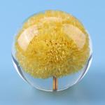 Real dandelion in Clear resin ball flower resin ball ornament