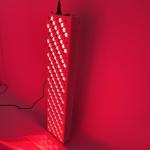 660nm 850nm 1000w Full Body Led Light Therapy Commercial Home Use