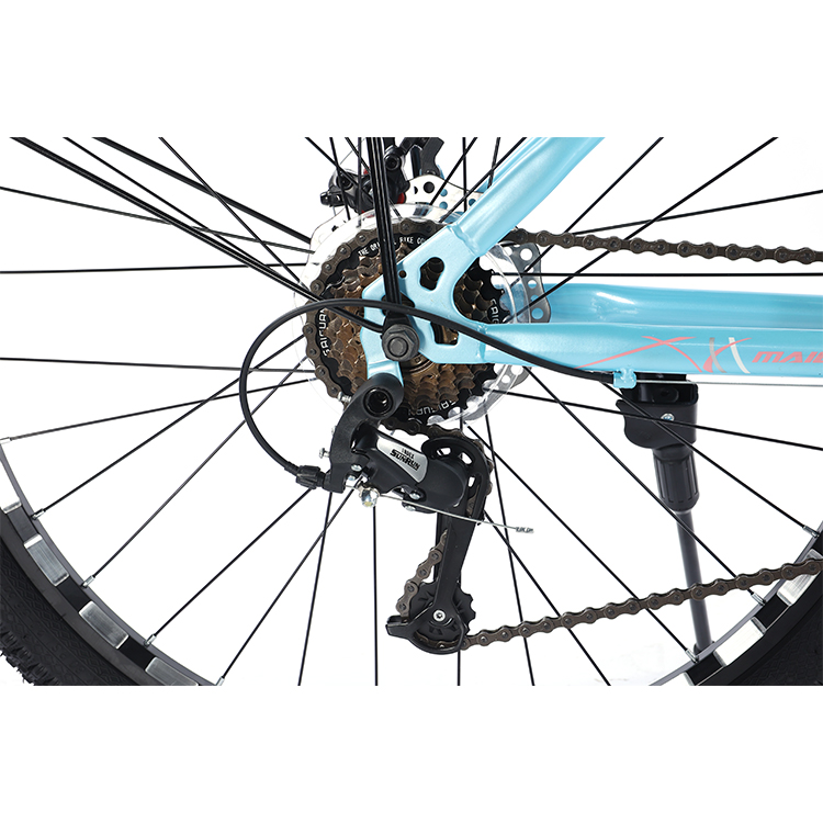 Mechanical Disc Brake 21 Speeds Steel Frame Mountain Road Bike for City Travel Bicycle