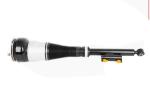 A2223202513 A2223202613 Rear Left Right Air Suspension Shock For Mercedes Benz