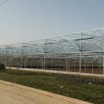 Factory wholesale stock exterior shading steel frame commercial multi span film