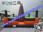 Giant Inflatable Sport Games , Inflatable Climbing Wall 6M x 6M