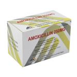 Amoxicillin Capsule 500mg, 10x10's/box, GMP Medicine, BP/USP/CP Standrad