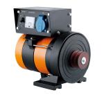 1KW Direct Connection High Output Alternator AC Power