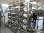 Food Grade Material Pure Water Process RO Water Purifier Electric Driven