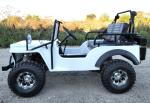 White Mini Gas Golf Cart Jeep ELITE Edition Lifted With Custom Rims And Fender