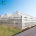 Practical Po Film Gothic Greenhouse Multispan Agriculture Greenhouse