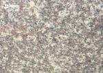 Fujian Sparkle Pattern Granite Exterior Wall Tiles , Granite Stone Floor Tiles