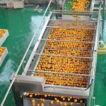 SUS316 Industrial Fruit Juice Processing Line Automatic Citrus Jam Making