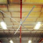 AWF52 Industrial Indoor Ceiling Fans , Modern Industrial Ceiling Fans For