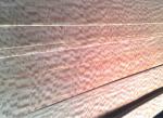 Figured Makore Veneer for Furniture