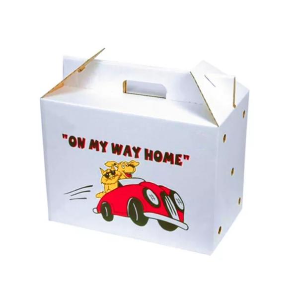 CMYK Fruit Packaging Boxes Custom Made Corrugated Fruit Box