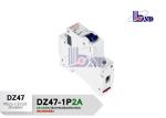 DZ47-IP2A 2A small current Air switch micro circuit breaker