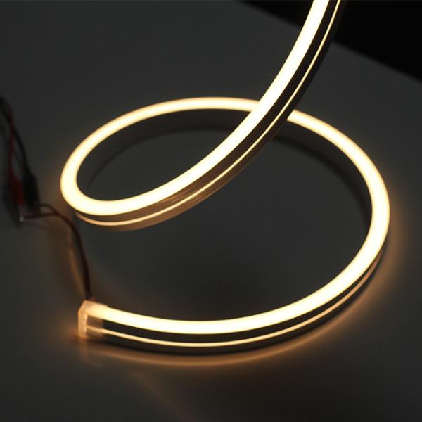 Waterproof Dmx512 LM80 NEON LED Strip Lights Single Color Rgb Rgbw