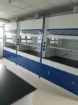 ISO9001 Antirust Science Lab Vent Hood Acid Resistant Stable