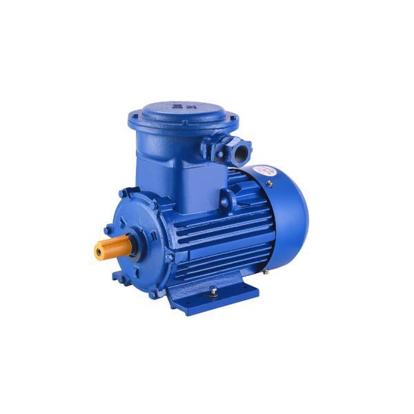 YBX4 Motor Explosion-Proof Three-Phase Asynchronous Motor