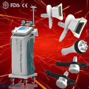 Wholesale Hot Sale 5 Handles Cryolipolysis Slimming Machine Frozen Fat for Beauty Salon / Spa from china suppliers