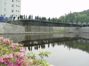 Wholesale Fast Erect Temp Bridge Of 17m - 51m Mechanized from china suppliers