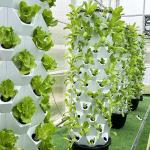 65L 14 Layers 112 Plant Holes Complete Hydroponic Growing System With 6 Light