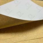 300gsm CKB Board Food Grade Coated Kraft Back Board FDA certificate