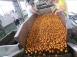 Bottled Fruit Juice Production Line / Equipment /Apple juice blueberry juice