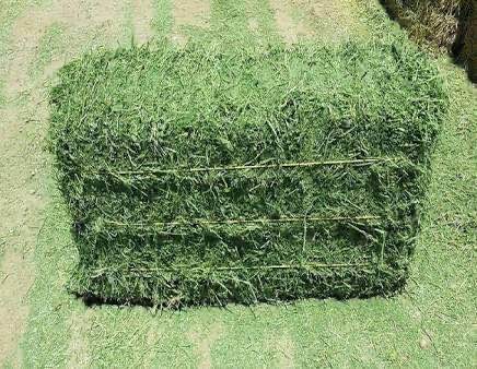 UV Stabilized Premium Plastic Polypropylene Baler Twine For Hand Baling 9000' twist rope