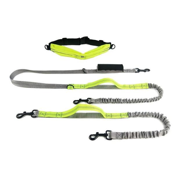 waist leash for multiple dog