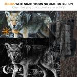 30MP 1080P Mini Trail Camera Keepguard KW561 IP67 Competitive Price IR Light No