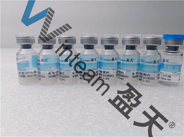 Wholesale Aerobic Quality Control Organisms , Equality Control Bacterial Pseudomonas Aeruginosa from china suppliers