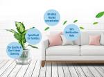 Quick Drying Disposable Hand Sanitizer Waterless Medicated Unscented Dazzles