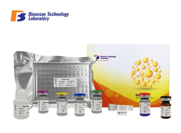 Porcine Sandwich ELISA Kit 96 Well Plate High Specificity Beta - Endorphin