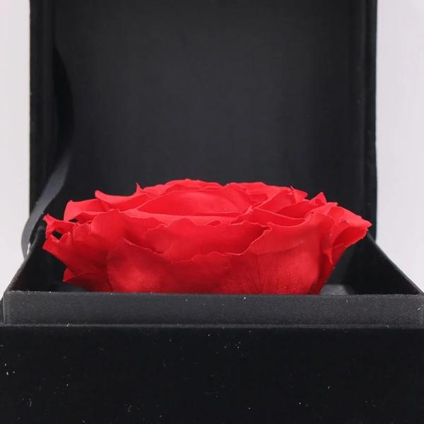 Ecuador Eternal rose luxury gift 10cm preserved rose in Velvet box preserved