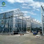 Transparent Multi Span 120km/H Commercial Glass Greenhouse