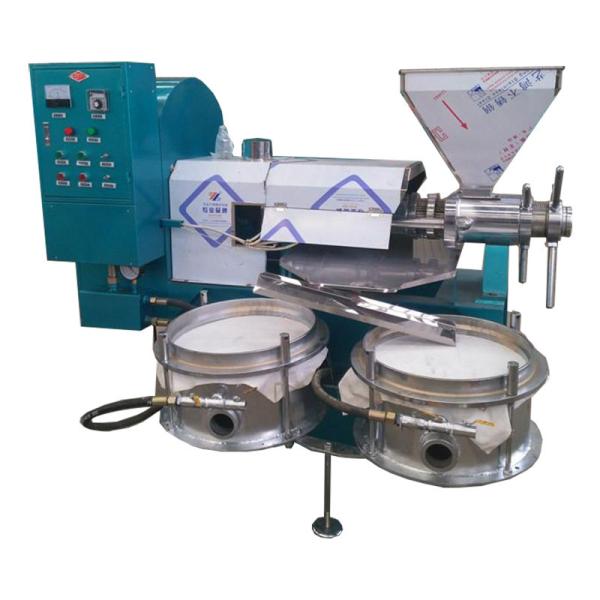 Professional Small style sunflower cooking oil making machine to press corn oil