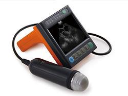 Wholesale Digital Medical Veterinary Ultrasound Scanner With 3.5 Inch Screen And Frequency Of Porbe 2.5M 3.5M from china suppliers