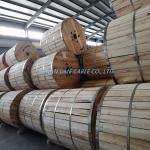 Overhead ASTM B856 Bare Ostrich/Brant Aluminum Conductor Aluminum Clad Steel