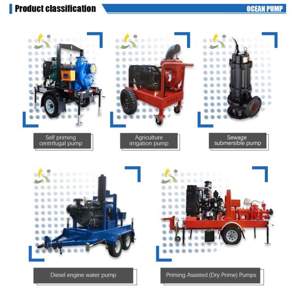 12 Inch High Power Cast Iron Self Priming Centrifugal Water Pump Diesel Water Pump for Agriculture Irrigation